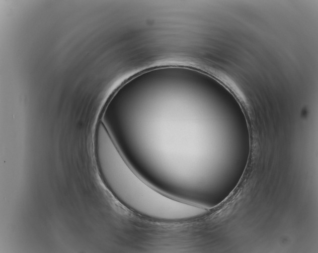 X0000091560996200708171057