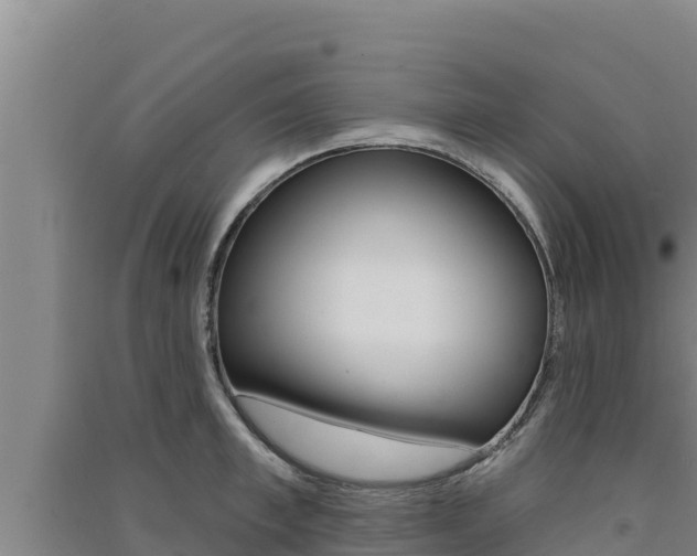 X0000091560997200708171057