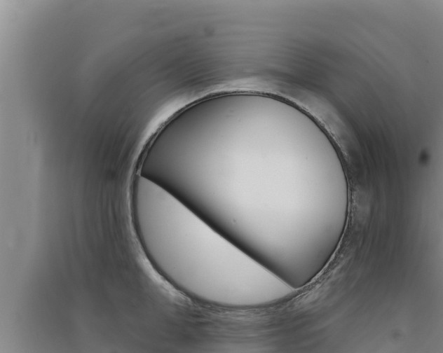X0000091560998200708171057