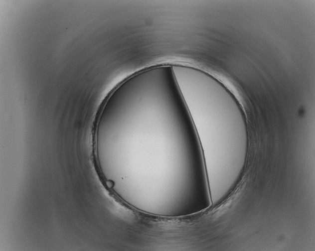 X0000091560999200708171057