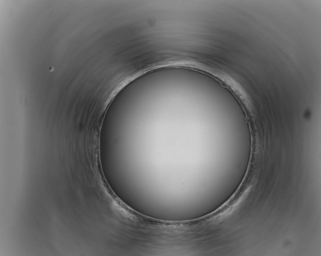 X0000091561001200708171057