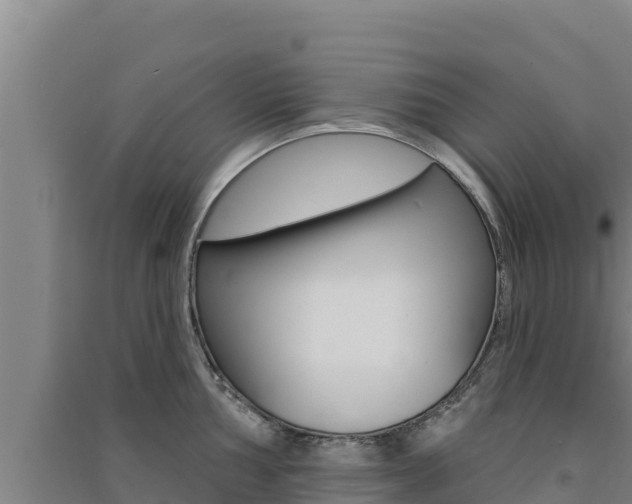 X0000091561002200708171057
