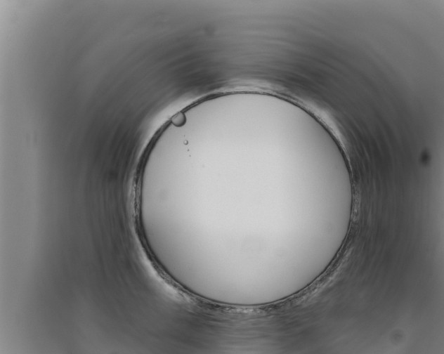 X0000091561003200708171057