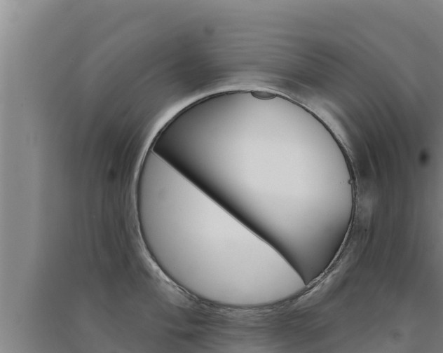 X0000091561004200708171057