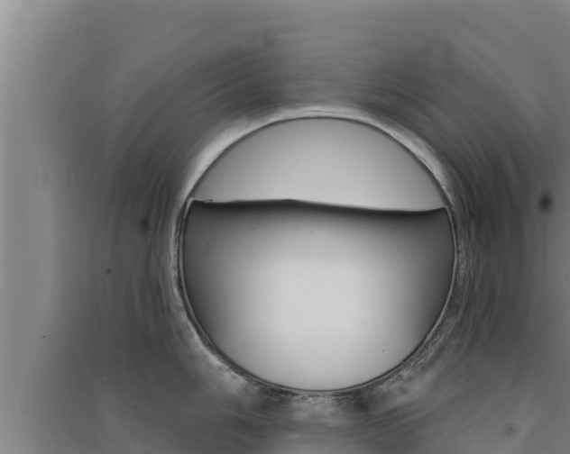 X0000091561006200708171057
