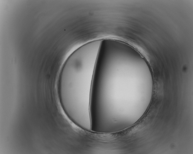 X0000091561007200708171057