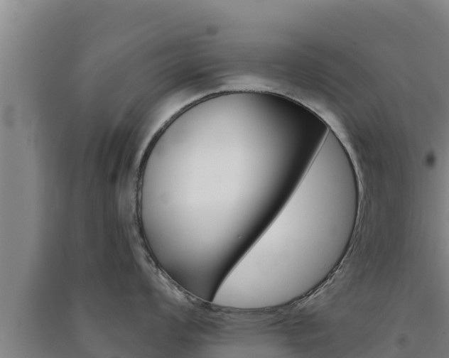 X0000091561008200708171057