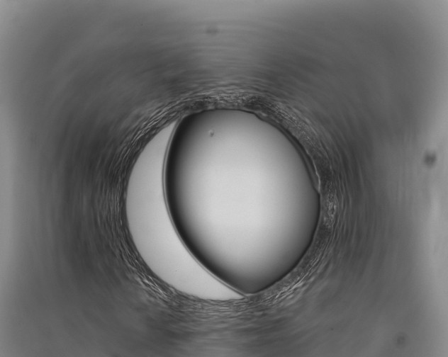 X0000091561010200708171057