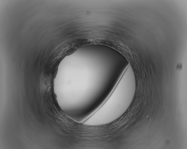 X0000091561012200708171057