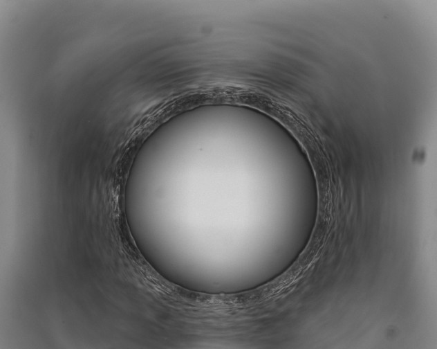 X0000091561013200708171057