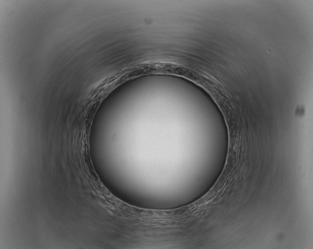 X0000091561014200708171057