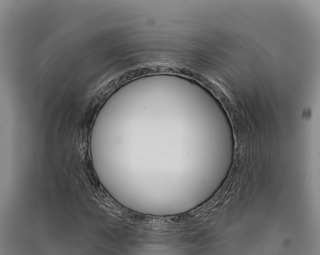 X0000091561015200708171057