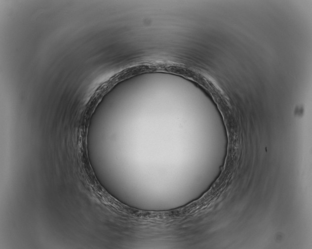 X0000091561016200708171057