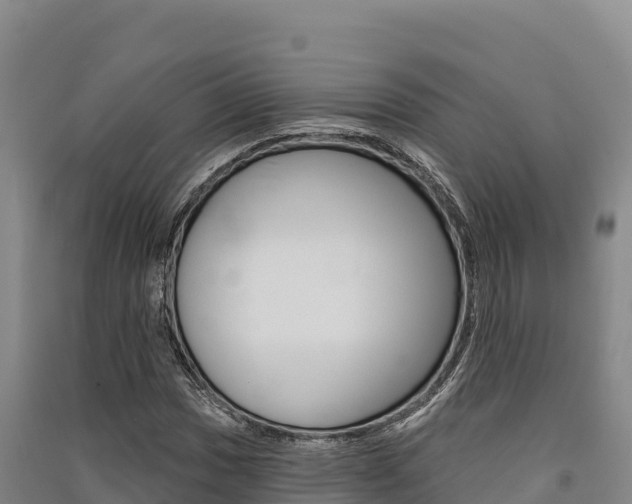 X0000091561017200708171057