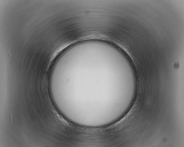 X0000091561018200708171057