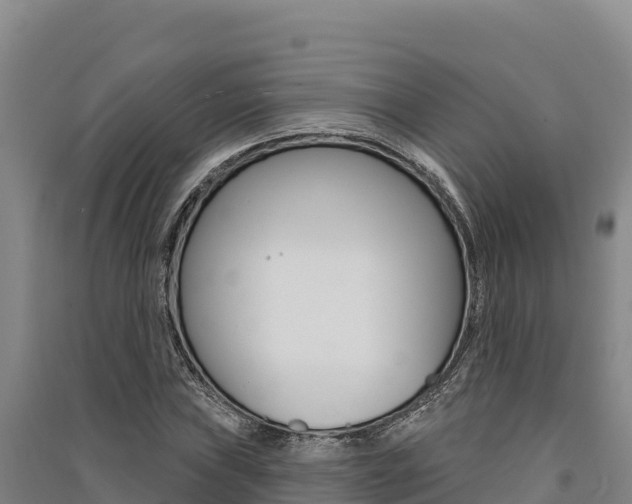 X0000091561019200708171057