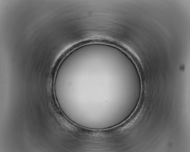 X0000091561021200708171057