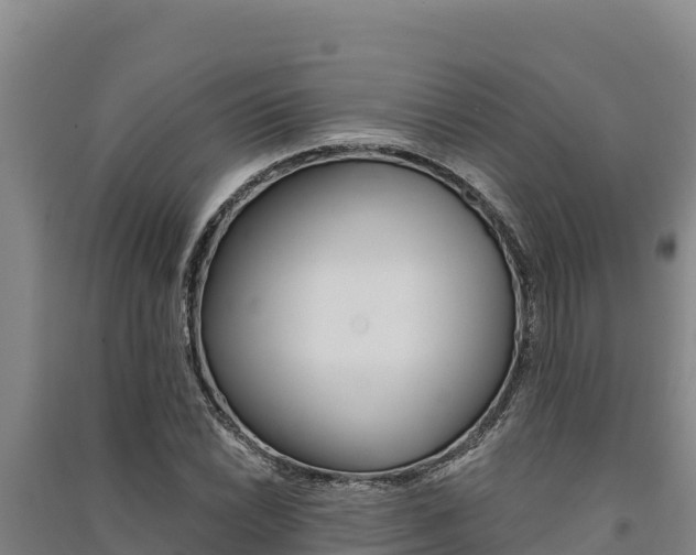 X0000091561022200708171057