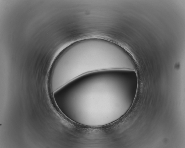 X0000091561024200708171057