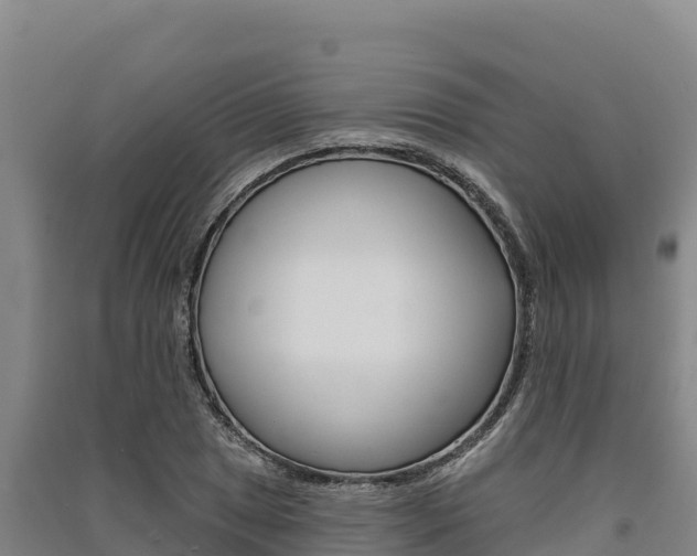 X0000091561025200708171057