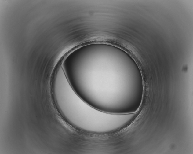 X0000091561026200708171057
