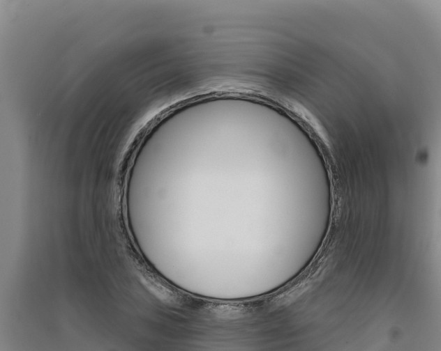 X0000091561027200708171057