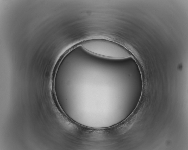 X0000091561028200708171057