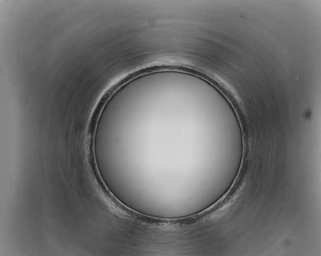 X0000091561029200708171057