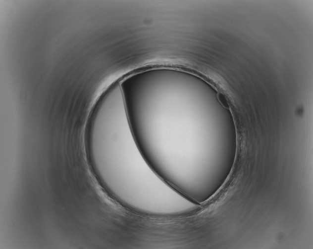 X0000091561030200708171057