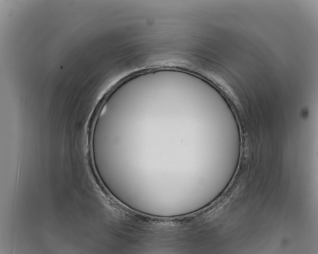 X0000091561031200708171057