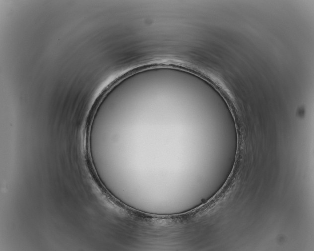 X0000091561032200708171057