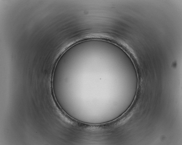 X0000091561033200708171057