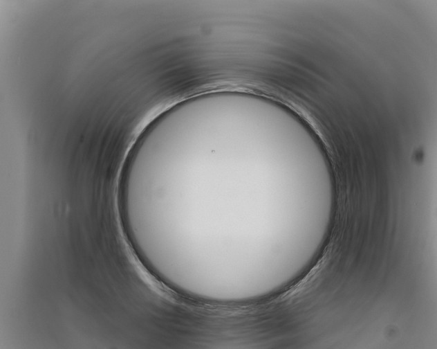 X0000091561034200708171057