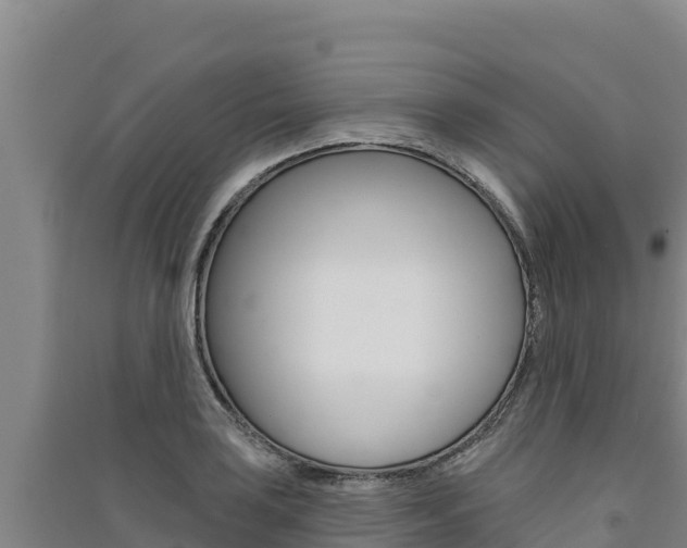 X0000091561035200708171057
