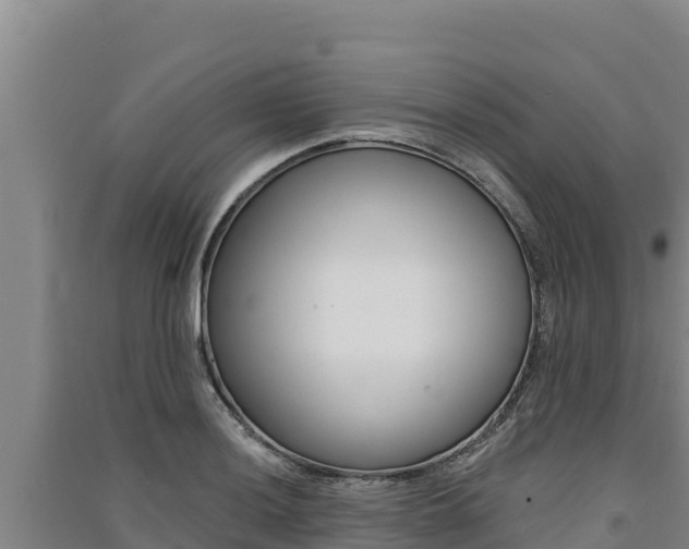X0000091561036200708171057