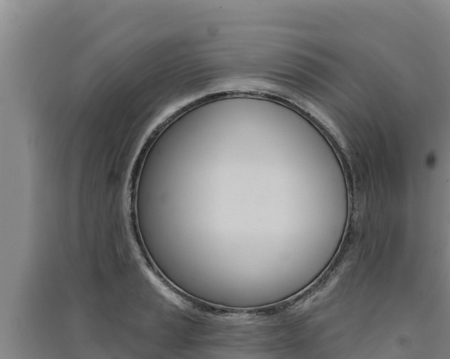 X0000091561037200708171057
