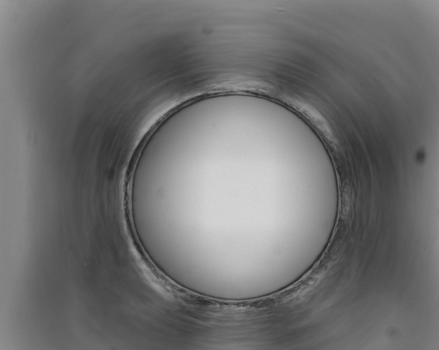 X0000091561039200708171057