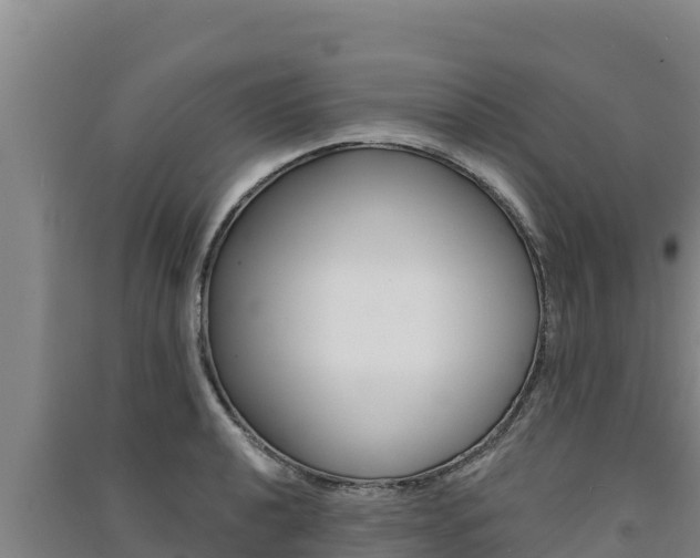 X0000091561040200708171057