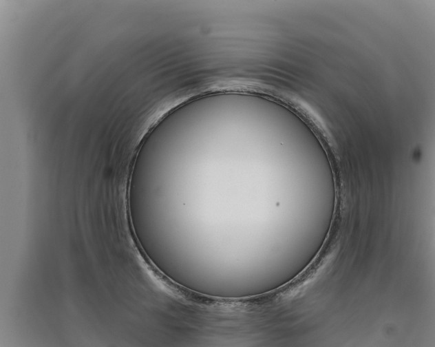 X0000091561041200708171057