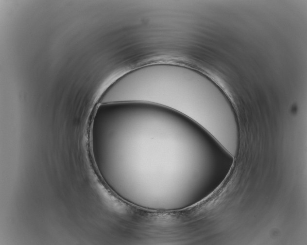 X0000091561042200708171057