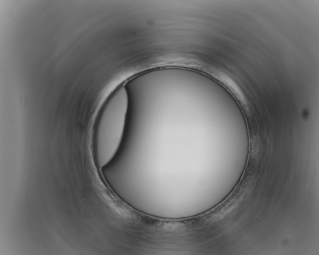 X0000091561043200708171057