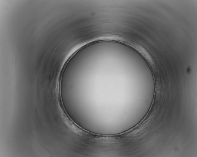 X0000091561044200708171057