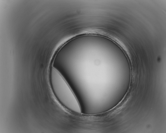 X0000091561045200708171057