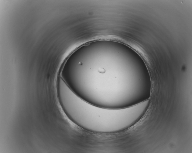 X0000091561046200708171057