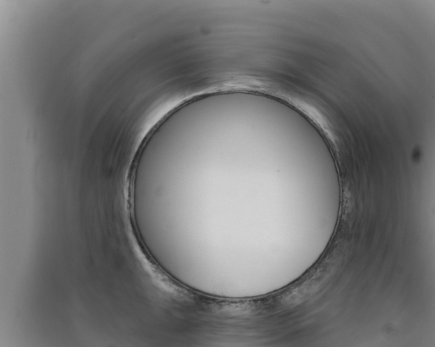 X0000091561047200708171057