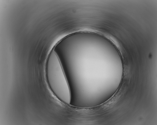 X0000091561048200708171057