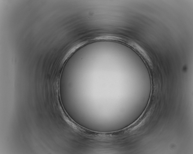 X0000091561049200708171057