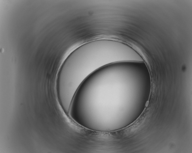 X0000091561050200708171057