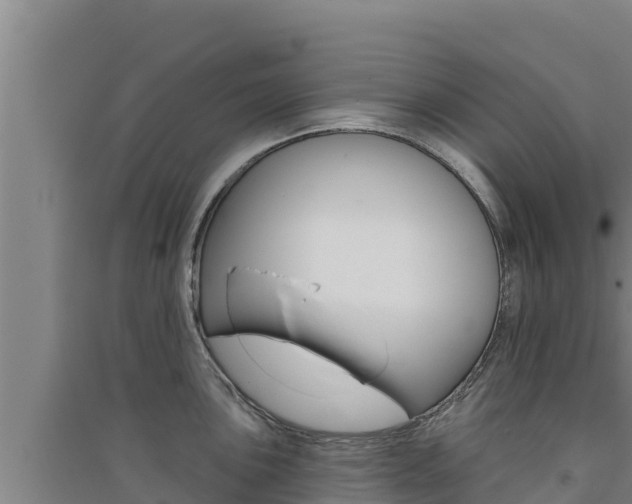 X0000091561051200708171057