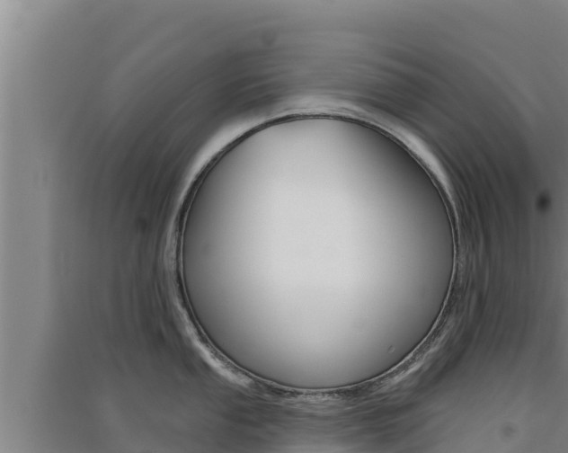 X0000091561053200708171057